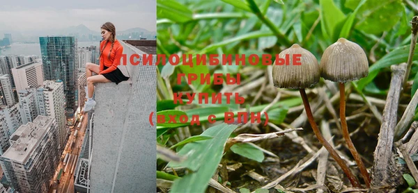 герыч Каменногорск