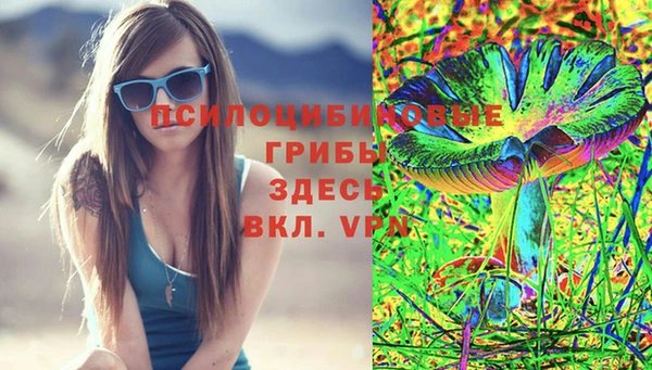 альфа пвп Каменка