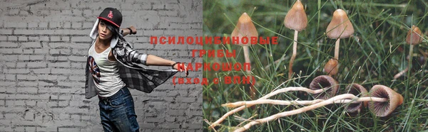 герыч Каменногорск