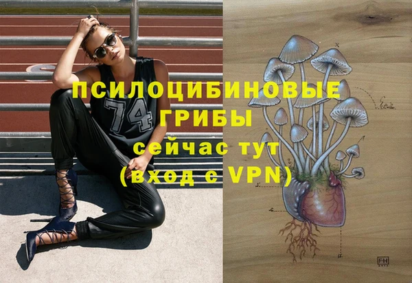 альфа пвп Каменка