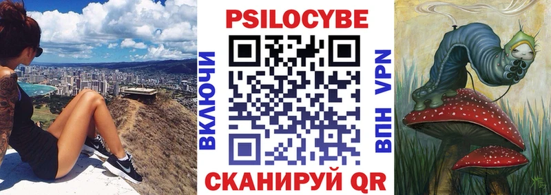 Купить  Кохма  Галлюциногенные грибы Psilocybine cubensis 